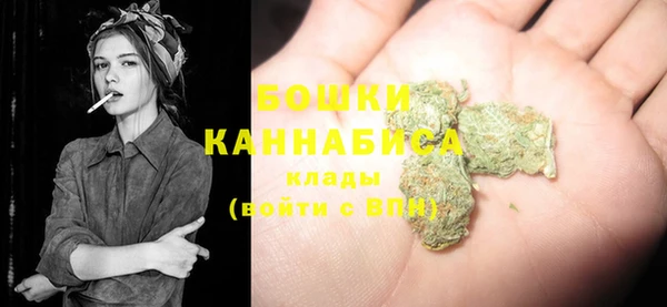 стафф Богданович