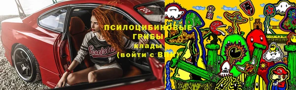 стафф Богданович