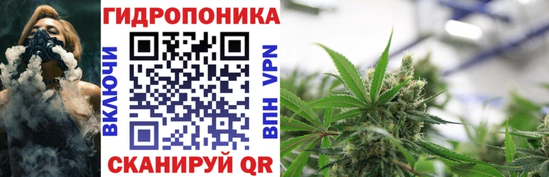 Каннабис Amnesia магазин Десногорск